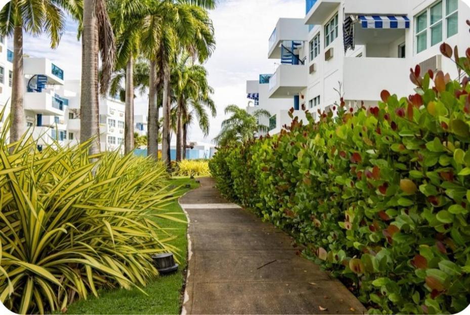 Appartement Breezy Nights Puerto Rico à Loiza Extérieur photo